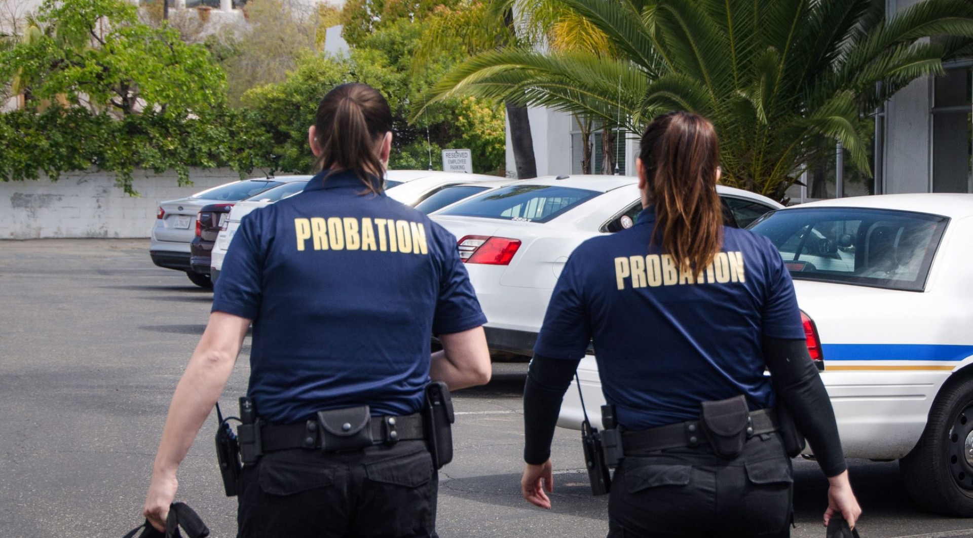 Probination Probation Officer Jobs